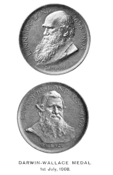 387px-Darwin-Wallace_medal
